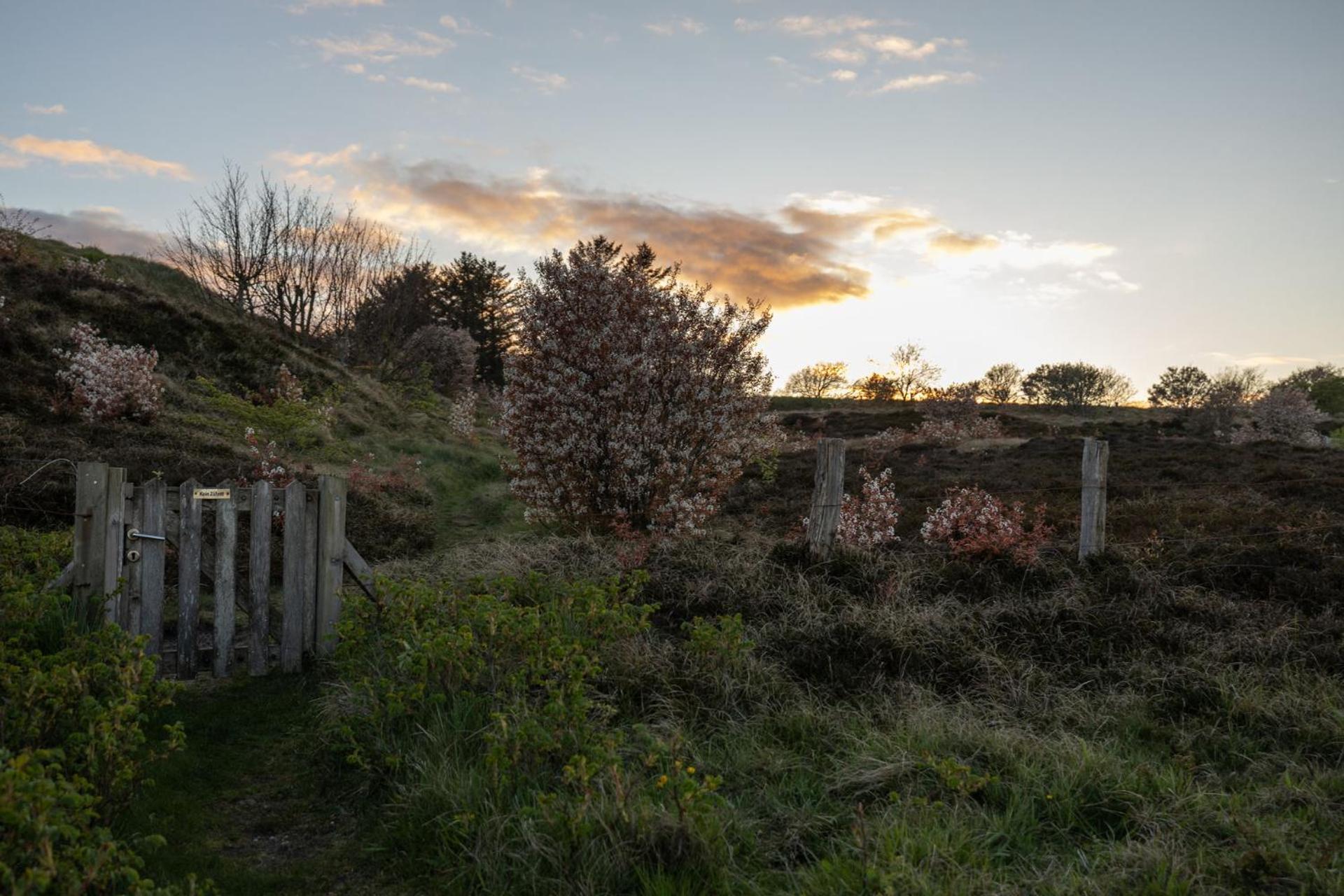 Reethus Keitum Mit Kamin Und Suedgarten In Direkter Wattnaehe Exterior foto